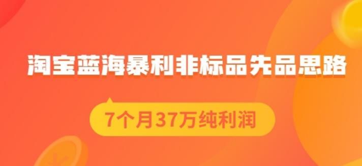 盗坤淘宝蓝海暴利非标品先品思路，7个月37万纯利润，压箱干货分享！【付费文章】|明哥资源