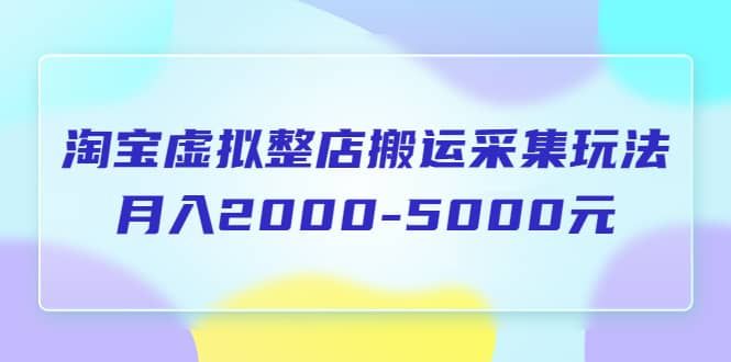 淘宝虚拟整店搬运采集玩法分享课：月入2000-5000元（5节课）|明哥资源