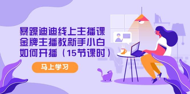 暴躁迪迪线上主播课，金牌主播教新手小白如何开播（15节课时）|明哥资源