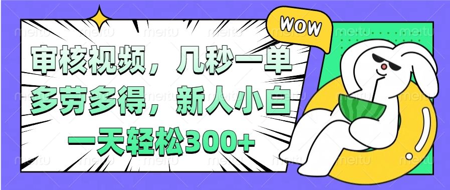视频审核项目，几秒一单，多劳多得，新人小白一天轻松300+|明哥资源