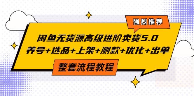 闲鱼无货源高级进阶卖货5.0，养号+选品+上架+测款+优化+出单整套流程教程|明哥资源
