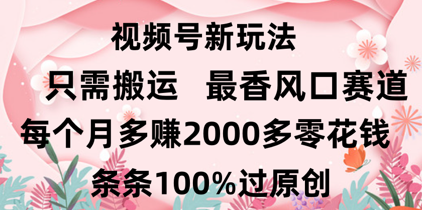 日入2000+，条条100%过原创，视频号最香风口赛道，小白轻松上手|明哥资源