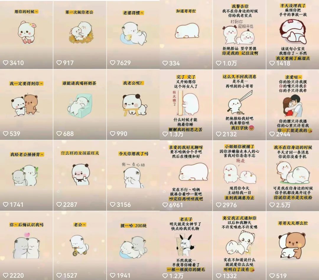 抖音表情包小程序变现项目，一条龙玩法详细大解析，视频版学习|明哥资源