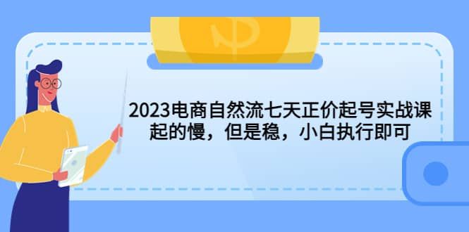 2023电商自然流七天正价起号实战课：起的慢，但是稳，小白执行即可|明哥资源