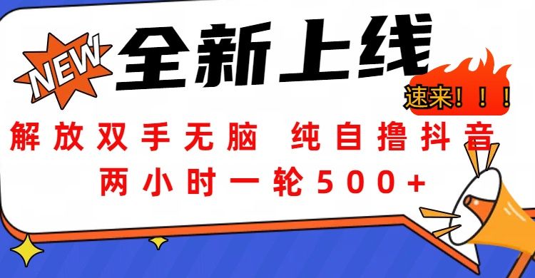 解放双手无脑 纯自撸抖音 两小时一轮500+|明哥资源