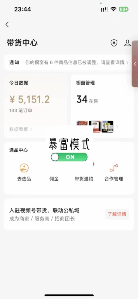 图片[8]|【陪跑项目】视频号4.0高阶变现项目介绍|明哥资源
