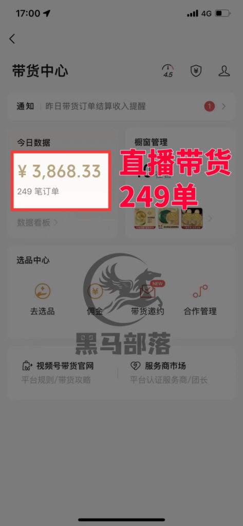 图片[13]|【陪跑项目】视频号4.0高阶变现项目介绍|明哥资源