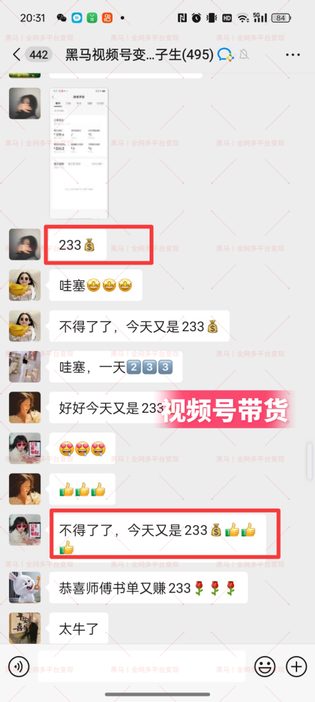 图片[16]|【陪跑项目】视频号4.0高阶变现项目介绍|明哥资源