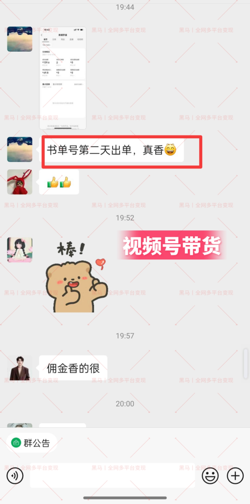 图片[17]|【陪跑项目】视频号4.0高阶变现项目介绍|明哥资源