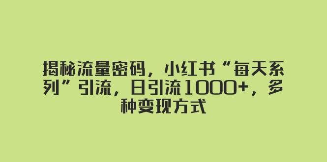 揭秘流量密码,小红书“每天系列”引流,日引流1000+,多种变现方式|明哥资源