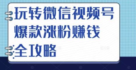 玩转微信视频号爆款涨粉赚钱全攻略，让你快速抓住流量风口，收获红利财富|明哥资源