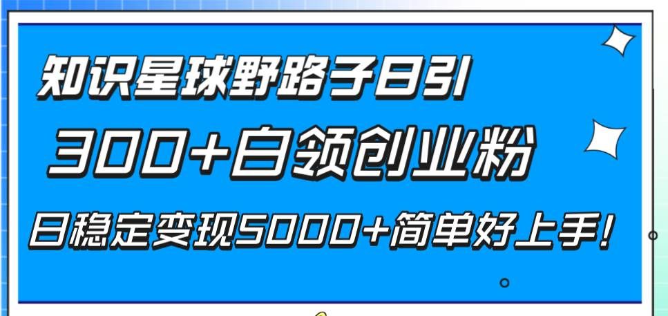 知识星球野路子日引300+白领创业粉，日稳定变现5000+简单好上手！|明哥资源