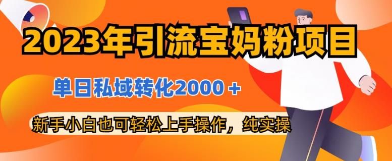 2023年引流宝妈粉项目，单日私域转化2000＋，新手小白也可轻松上手操作，纯实操|明哥资源