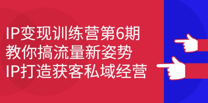 IP变现训练营第6期：教你搞流量新姿势，IP打造获客私域经营|明哥资源