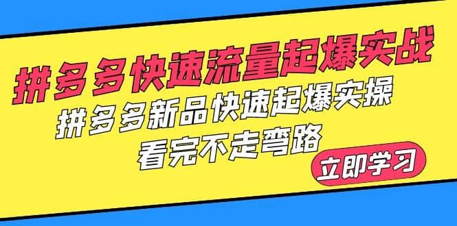 拼多多-快速流量起爆实战,拼多多新品快速起爆实操,看完不走弯路|明哥资源