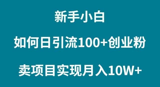 新手小白如何通过卖项目实现月入10W+|明哥资源