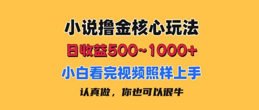 小说撸金核心玩法，日收益500-1000+，小白看完照样上手，0成本有手就行|明哥资源