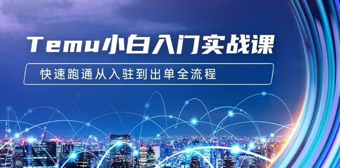 Temu小白入门实战课：跨境拼多多电商培训 快速跑通从入驻到出单全流程-12节|明哥资源
