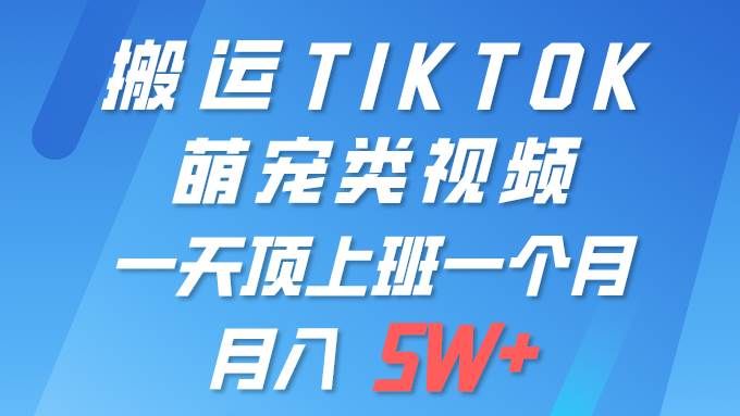 一键搬运TIKTOK萌宠类视频 一部手机即可操作 所有平台均可发布 轻松月入5W+|明哥资源