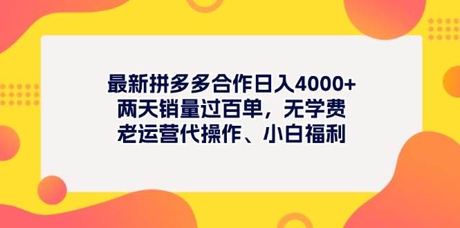 最新拼多多项目日入4000+两天销量过百单,无学费、老运营代操作、小白福利|明哥资源
