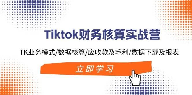 Tiktok财务核算实战营：TK业务模式/数据核算/应收款及毛利/数据下载及报表|明哥资源