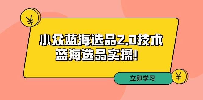 拼多多培训第33期：小众蓝海选品2.0技术-蓝海选品实操！|明哥资源