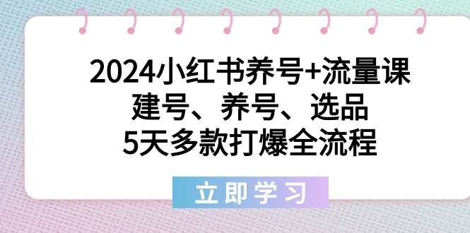 2024小红书养号+流量课:建号、养号、选品,5天多款打爆全流程|明哥资源