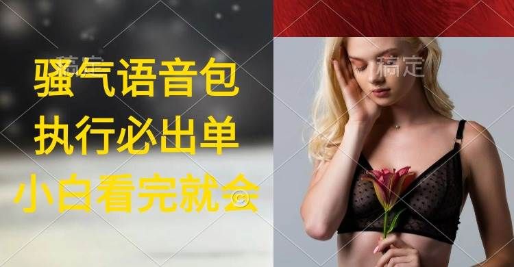 执行就出单，日入2000+，超火骚气语音包，小白看完课程就能马上实操|明哥资源