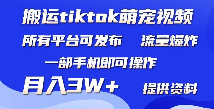 搬运Tiktok萌宠类视频，一部手机即可。所有短视频平台均可操作，月入3W+|明哥资源