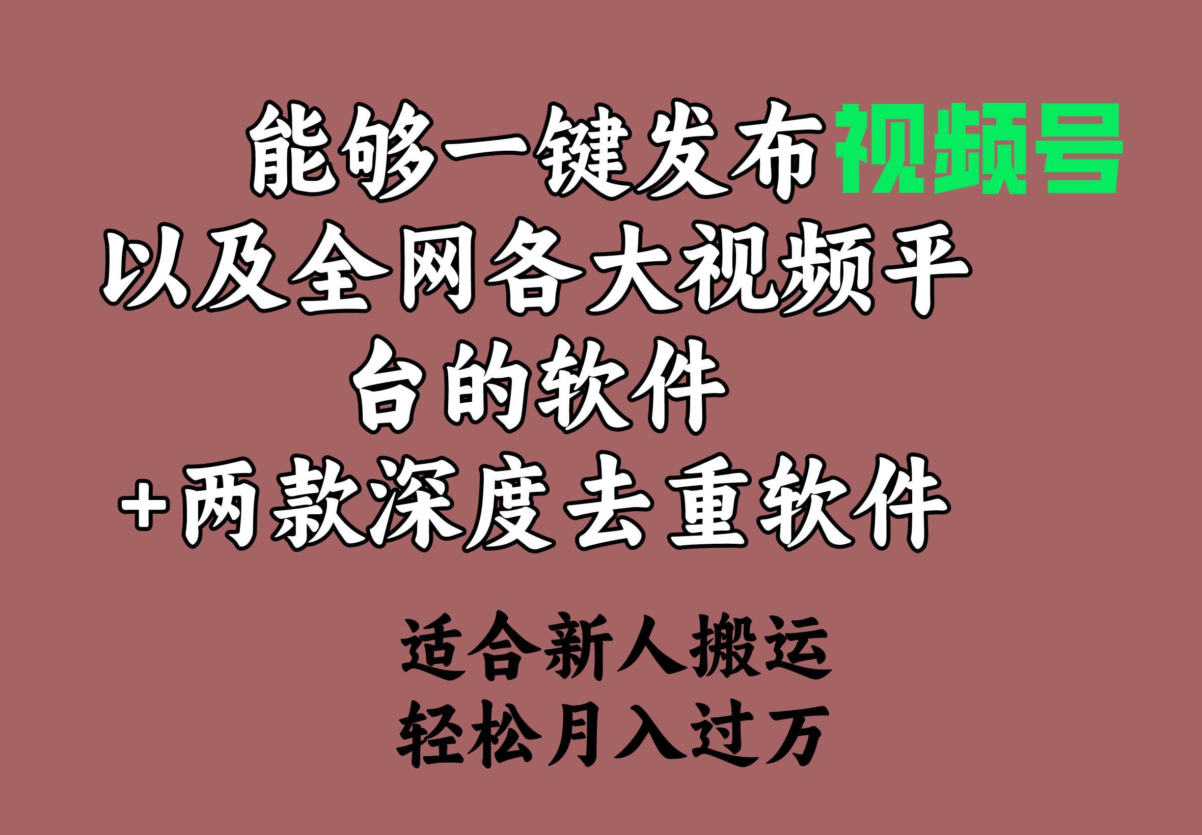 能够一键发布视频号以及全网各大视频平台的软件+两款深度去重软件 适合...|明哥资源