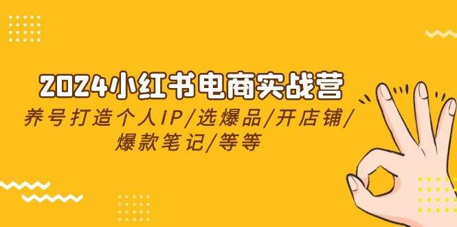 2024小红书电商实战营，养号打造IP/选爆品/开店铺/爆款笔记/等等（24节）|明哥资源