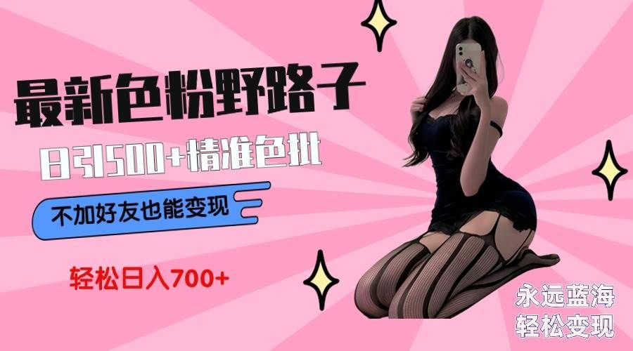 最新色粉变现野路子，日引500+老色批 可不加好友直接变现 小白轻松日入700+|明哥资源