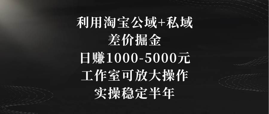 利用淘宝公域+私域差价掘金,日赚1000-5000元,工作室可放大操作,实操...|明哥资源