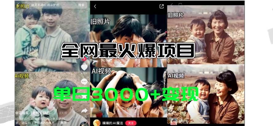 全网爆火的AI让老照片动起来教程，蹭热点日赚3000+，内含免费工具一键...|明哥资源