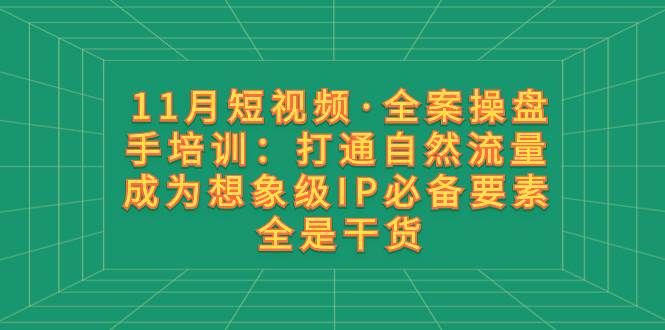11月短视频·全案操盘手培训:打通自然流量 成为想象级IP必备要素 全是干货|明哥资源