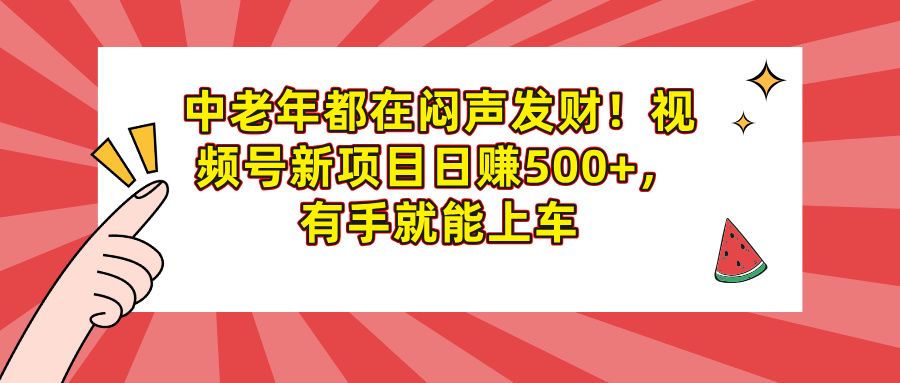 中老年都在闷声发财！视频号新项目日赚500+，有手就能上车|明哥资源