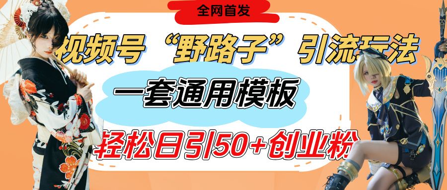 视频号“野路子”玩法，评论区疯狂截流，一套模板单日单号引流50+创业粉|明哥资源