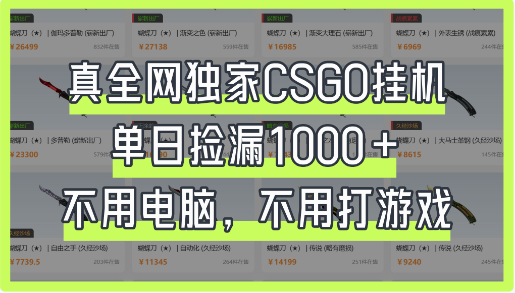 真全网独家CSGO挂机，单日捡漏1000+|明哥资源