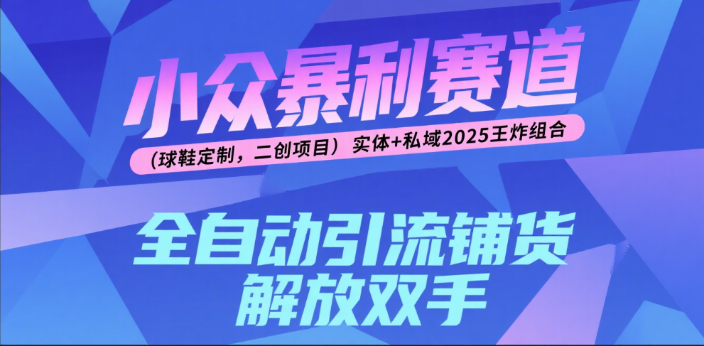 楠—小众暴利赛道（球鞋定制，二创项目）实体+私域2025王炸组合|明哥资源