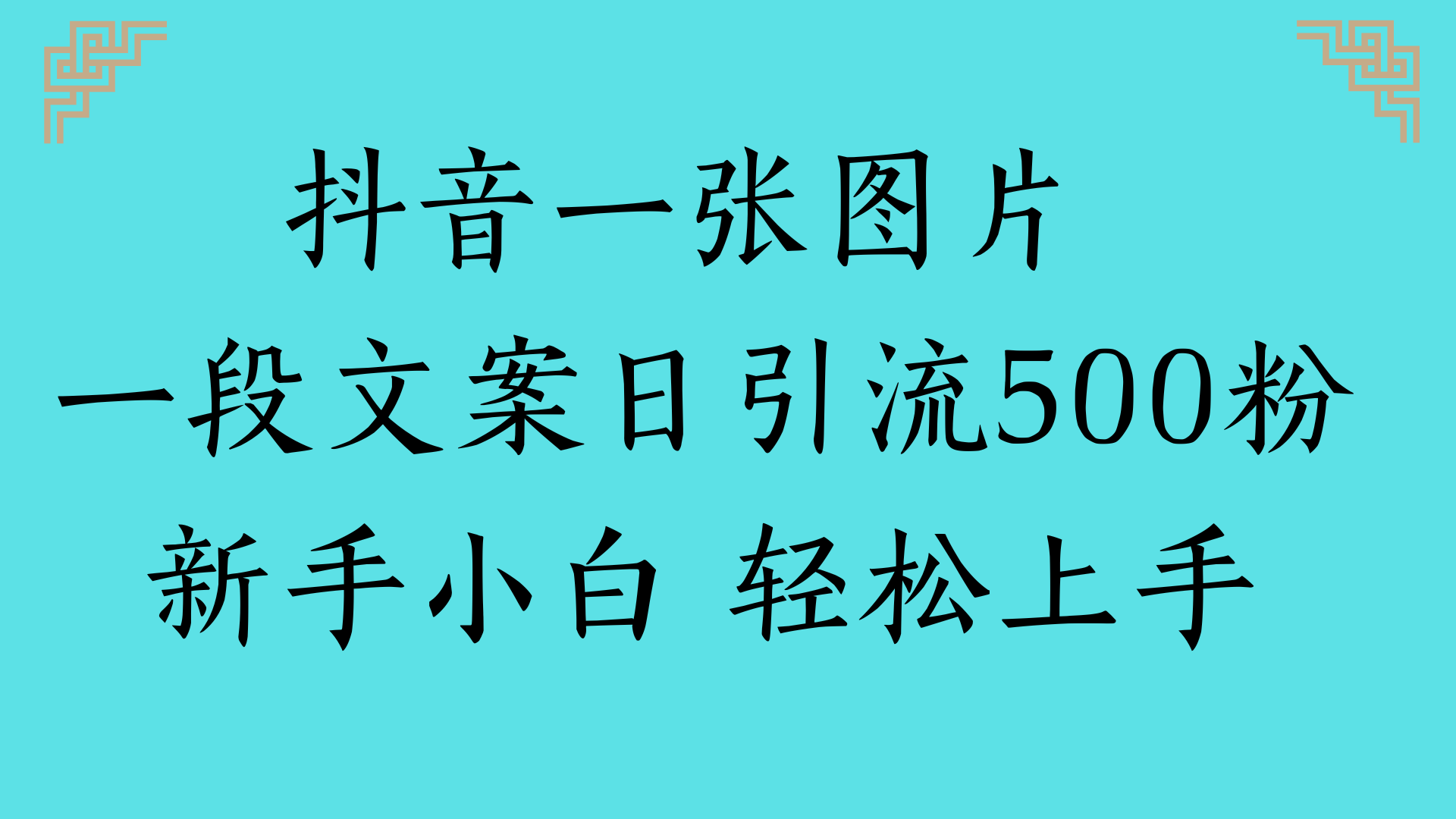 抖音一张图片 一段文案日引流500粉新手小白 轻松上手|明哥资源