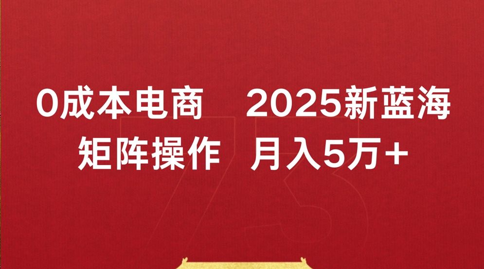 0成本电商2025新蓝海矩阵操作 月入5万+|明哥资源