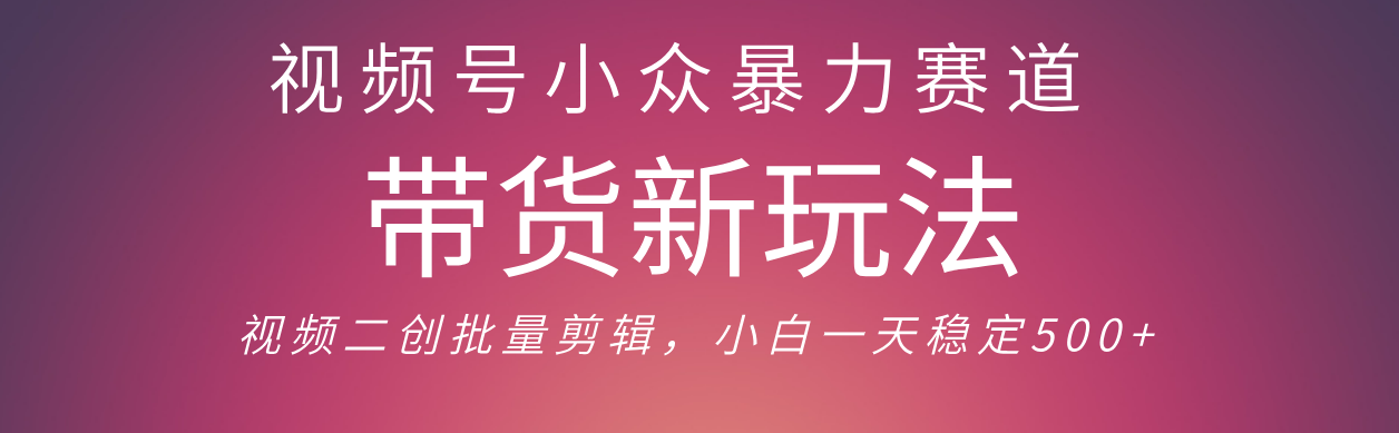 视频号小众暴力赛道，最新带货玩法 小白也能轻松日入500+ 保姆及教程|明哥资源