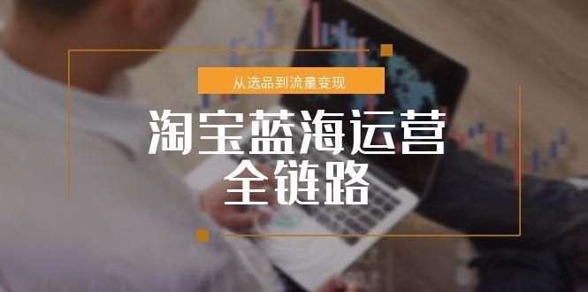 淘宝蓝海运营全链路，从选品到流量变现，小类目突围完整方案|明哥资源