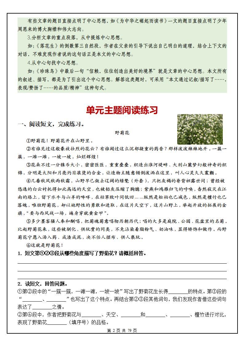 五上语文1-8单元主题阅读理解（含答案79页）|明哥资源