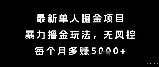 最新单人掘金项目，暴力撸金玩法，无风控，每个月多挣5k+【揭秘】|明哥资源