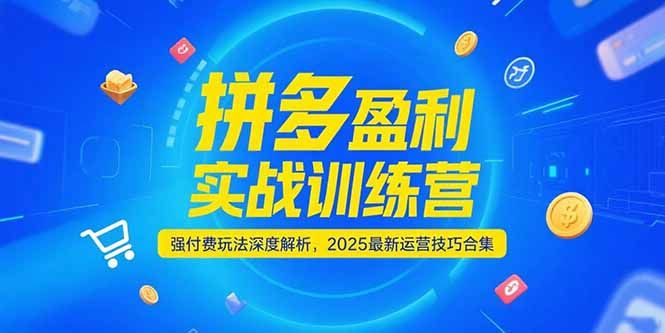 拼多多盈利实战训练营，强付费玩法深度解析，2025运营技巧合集-更新6月|明哥资源