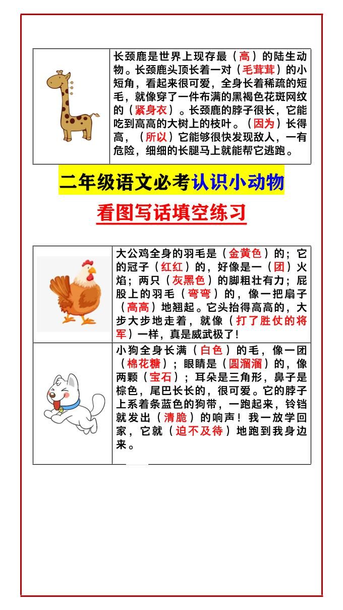 【2025秋新版】二年级语文必考认识小动物看图写话填空练习-二上语文|明哥资源